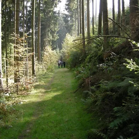 Beautiful In In The Eifel Holiday home *